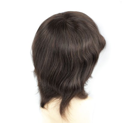 Remy Hair Systems a