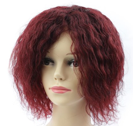 Human Hair Wig