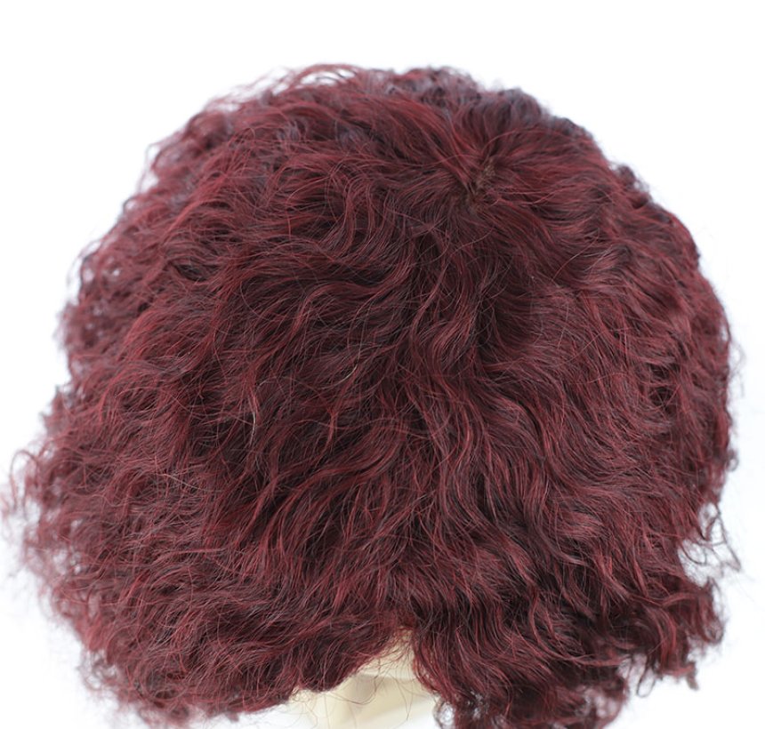 Human Hair Wig c