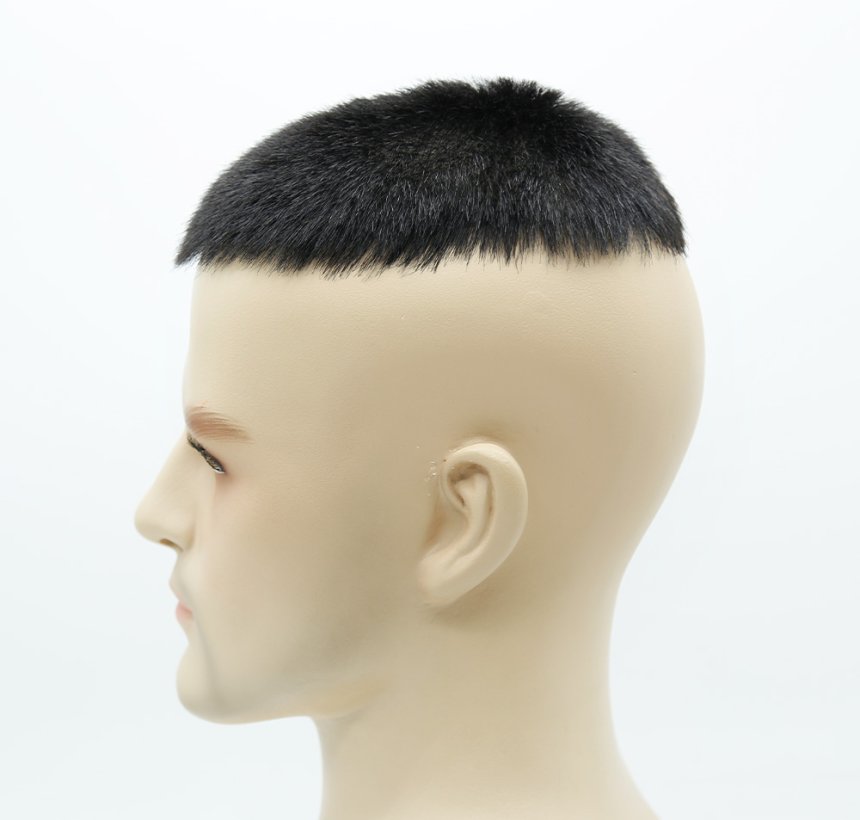 Toupee S
